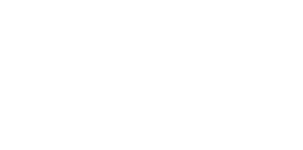 theblackrockvilla-white-logo